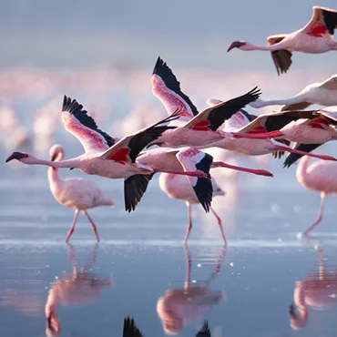 金年会